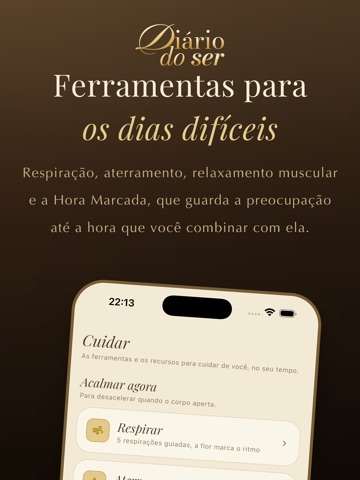Diário do Ser iPad screenshot