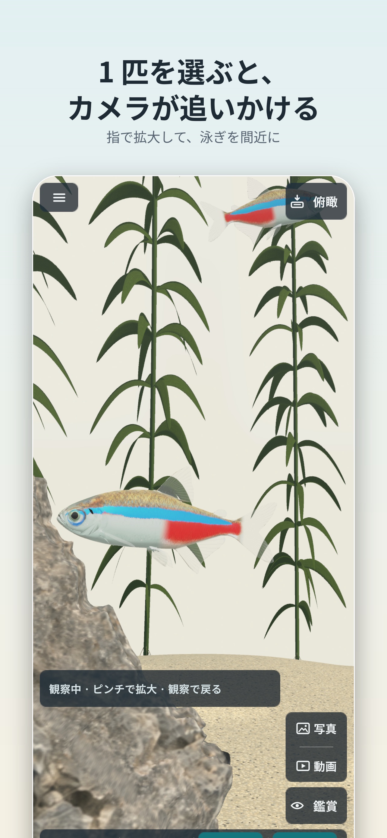Screenshot 2 of アクア暮らし