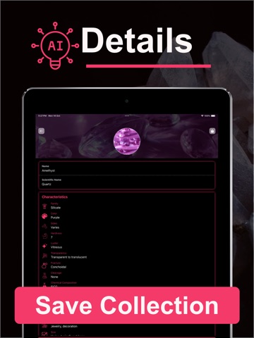 Rock Identifier: Find Stone iPad screenshot