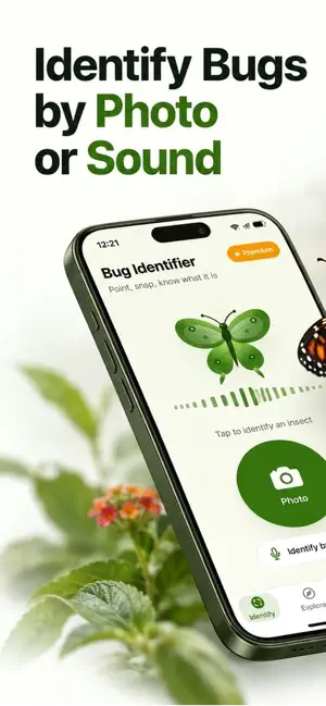 Buggy: Bug Identifier screenshot 1