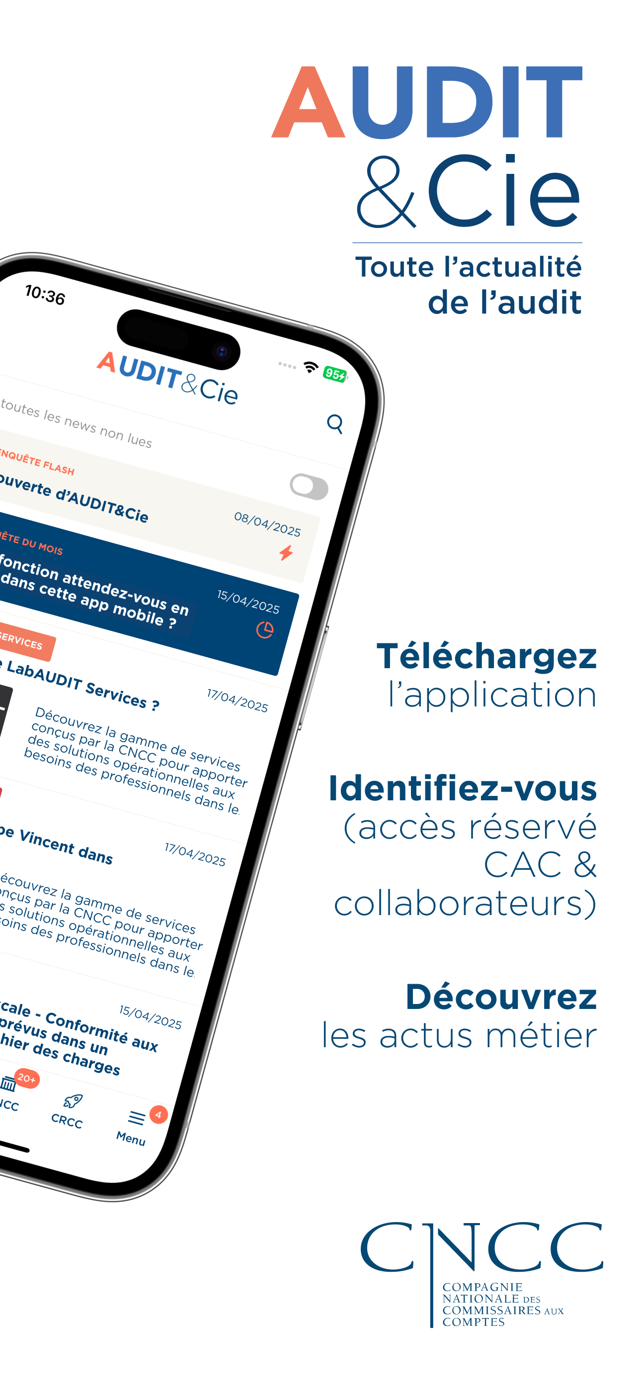 AUDIT & Cie screenshot 9