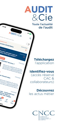 AUDIT & Cie Screenshot 9 of 9