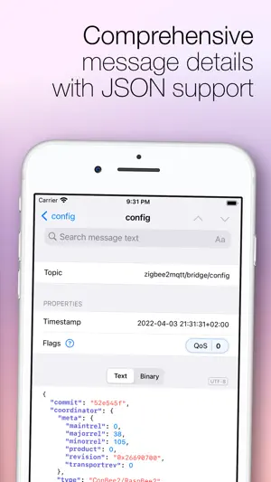 MQTT Loupe screenshot 2