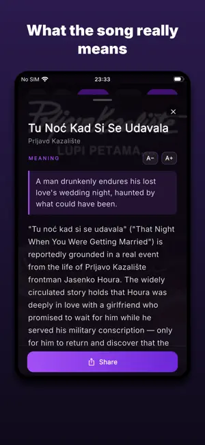 SongSense: Lyrics Translated screenshot 3
