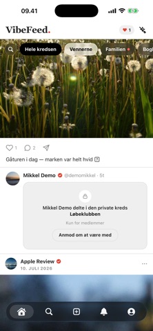 VibeFeed screenshot