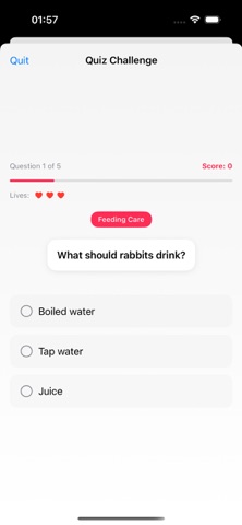 RabbitCareQ Screenshot 4 of 5