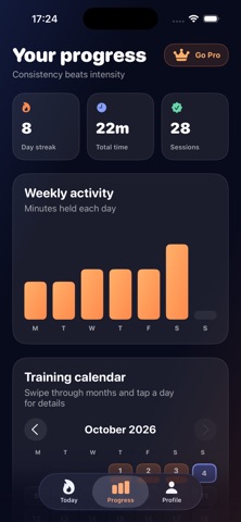 Plank Flame screenshot 5