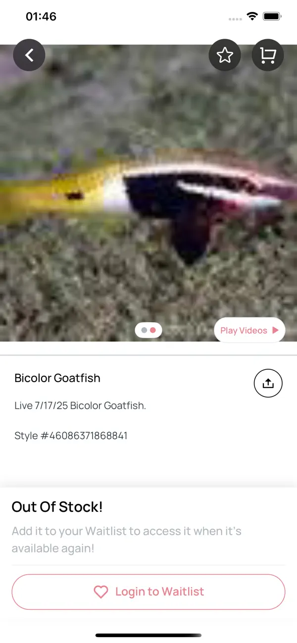 Screenshot #3 pour Corals Coral Live