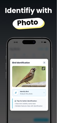 Bird Identifier - Birdie Screenshot 5 of 5