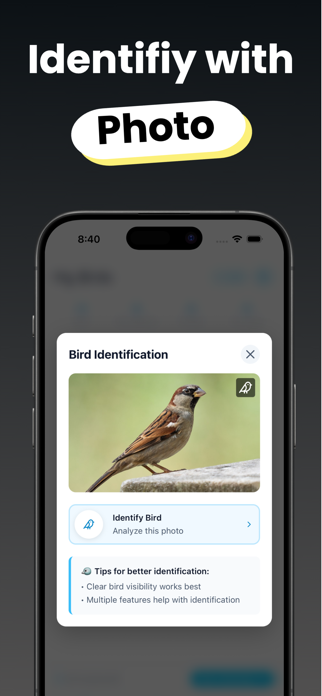Bird Identifier - Birdie Screenshot 5 of 5