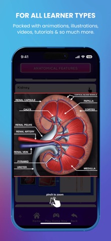 Code Nurse Screenshot 3 of 8