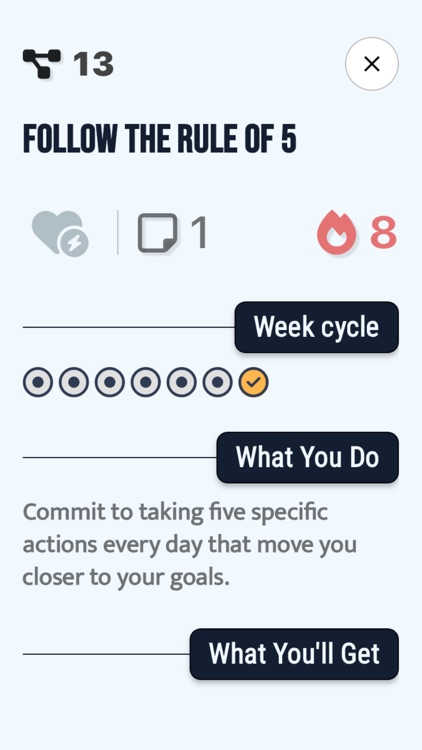 Brali LifeOS Organizer