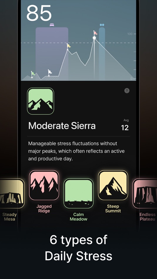 #4. Panora: Stress Watch, Heart (iOS) 来自: BlueSignum Corp.