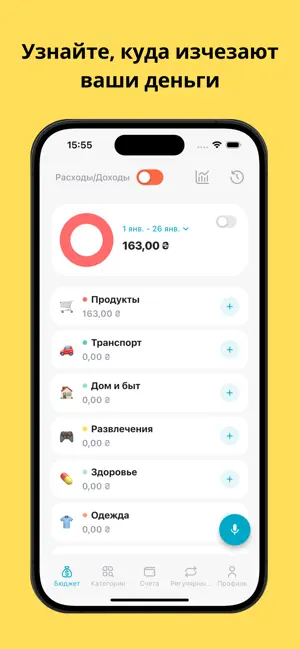 RaBay: Учет доходов и расходов screenshot 1