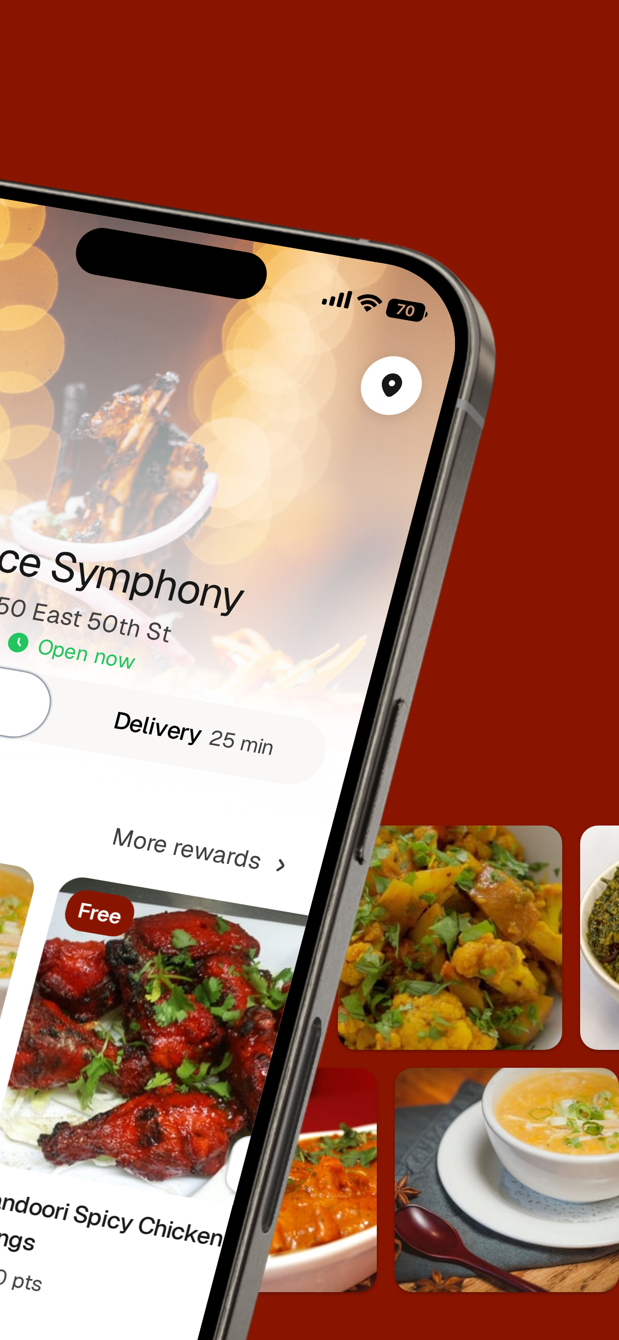 Spice Symphony screenshot 2