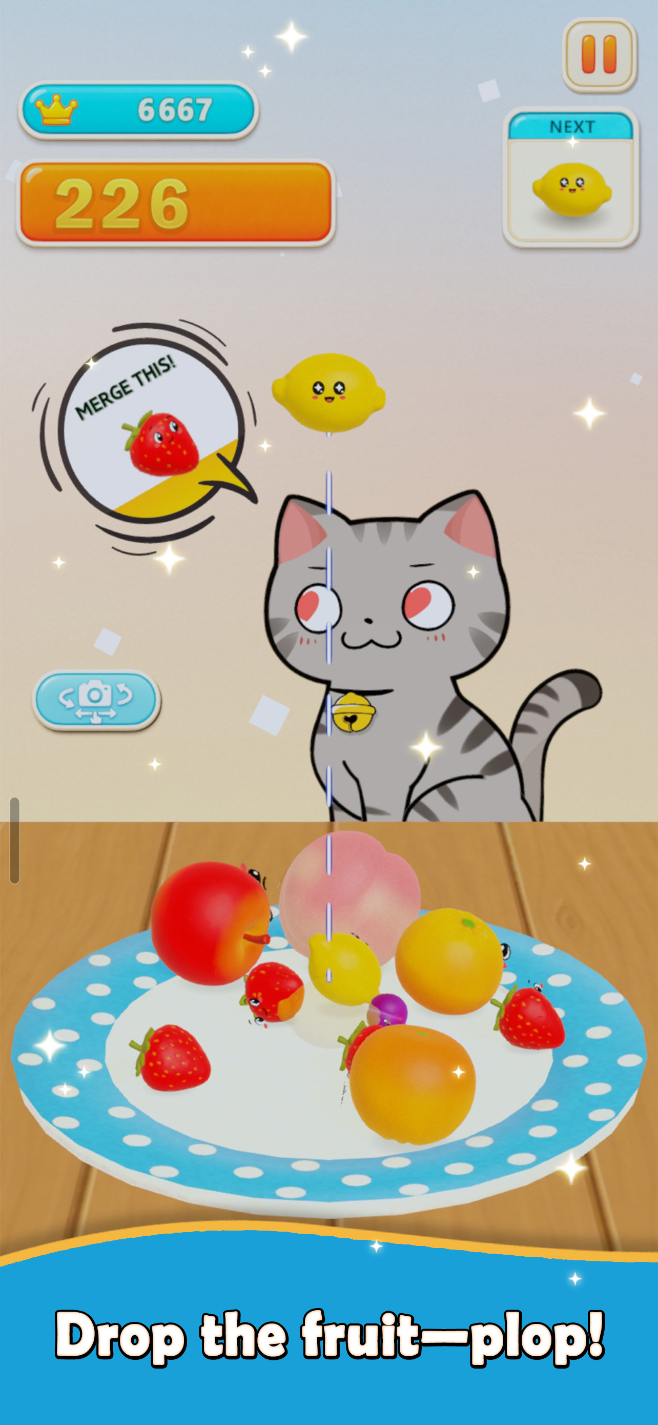Fruits Plate screenshot 4
