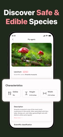 Picture Mushroom ID - Fungi ID screenshot