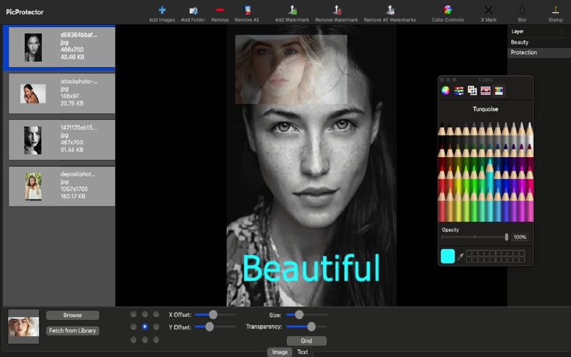 Screenshot #3 pour PicProtector