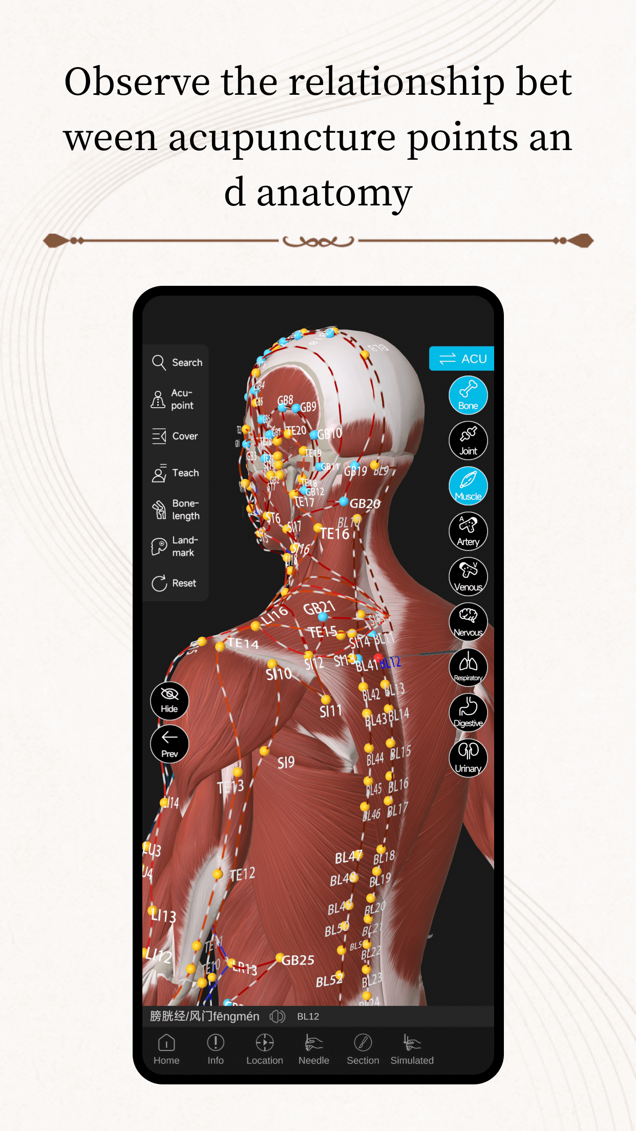 Messavox
