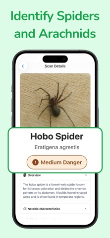 Spider Identifier: Arachnid ID iPhone screenshot