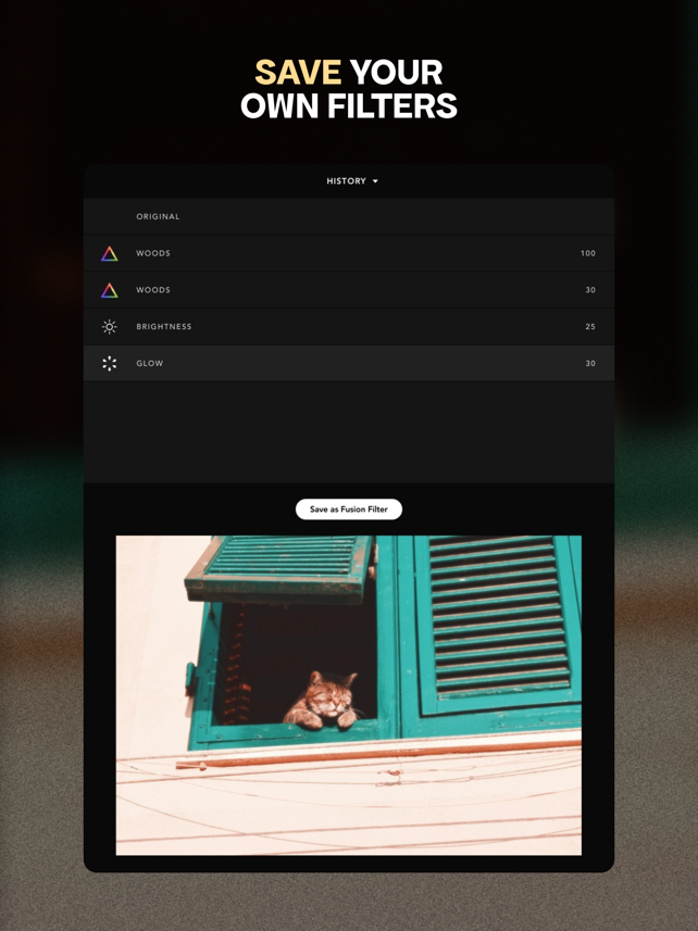 Afterlight: Photo Editor Screenshot