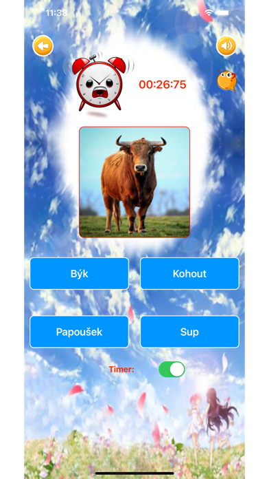 Learn Czech Vocabulary Screenshot
