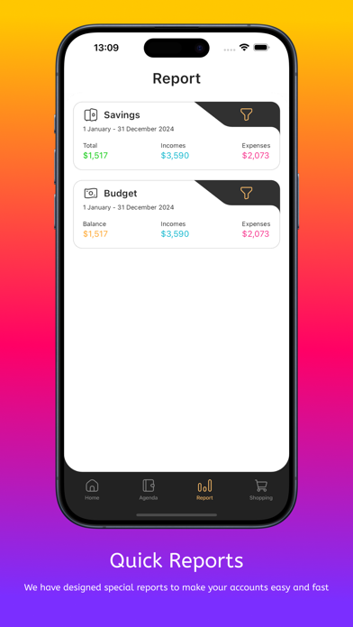 Birikim Screenshot