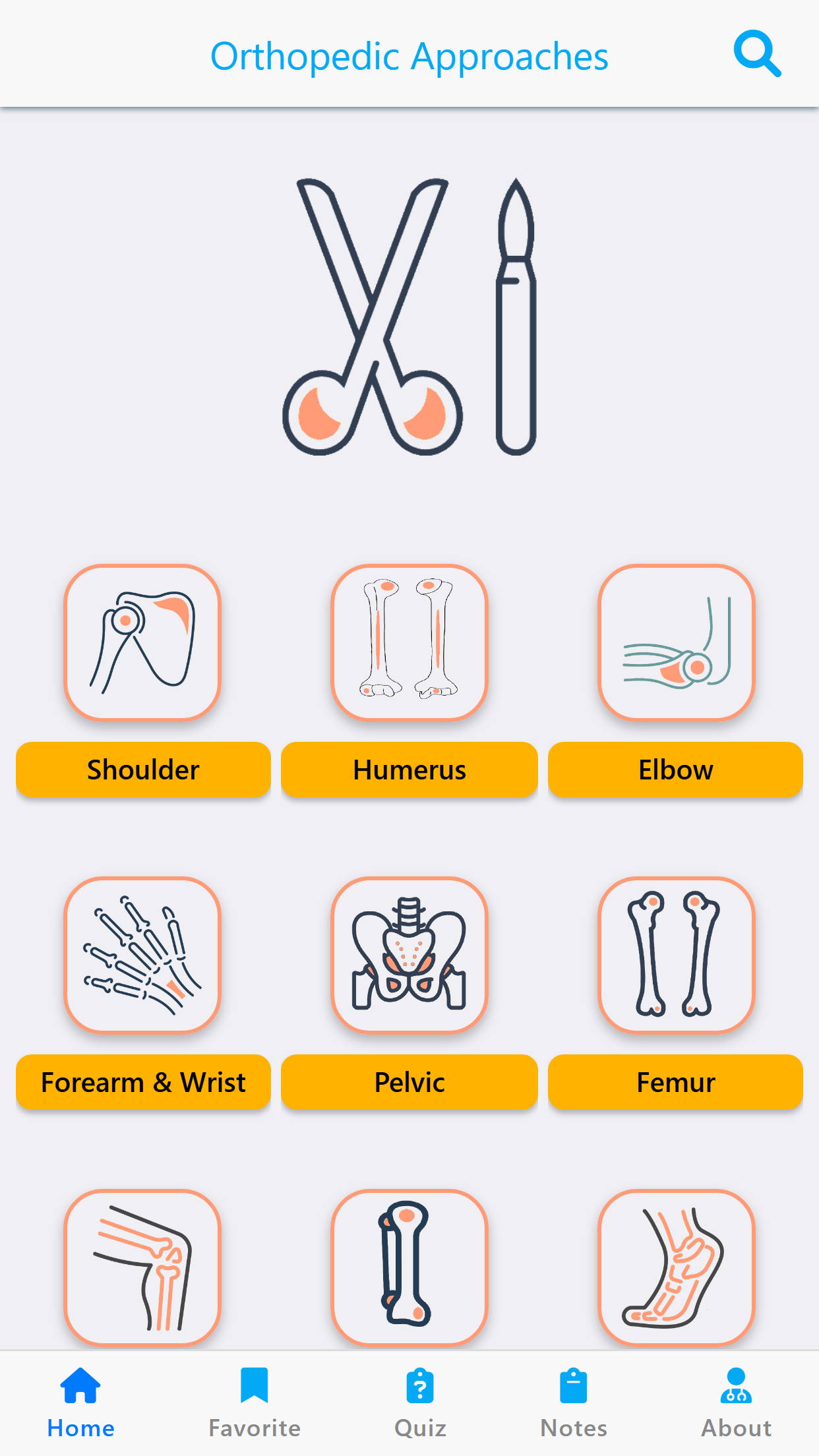 Orthopedic Approaches Lite