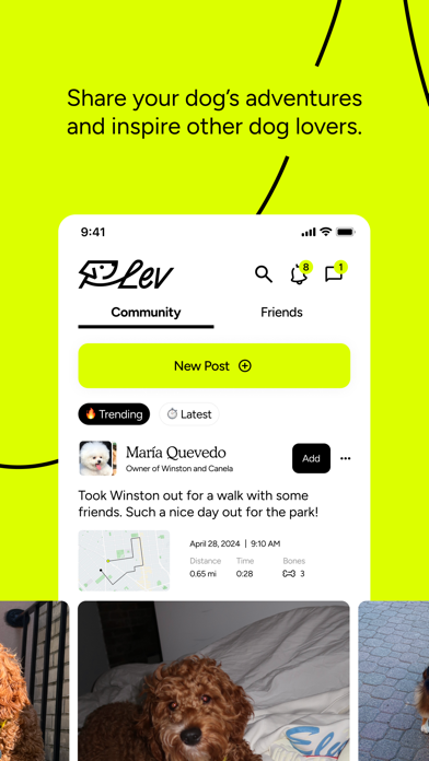 Lev: Meet Dogs & Explore iPhone screenshot 3 - Social Networking app