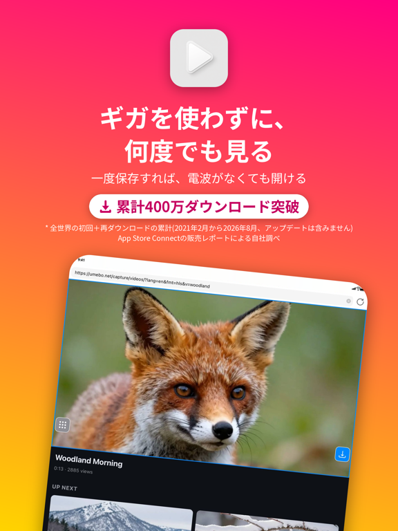 動画保存 / バックグラウンド再生 / iCap iPad screenshot 1