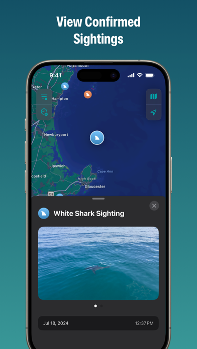 Sharktivity by AWSC Screenshot