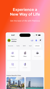 Platnova screenshot