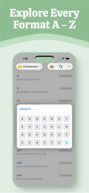 File Type screenshot 4