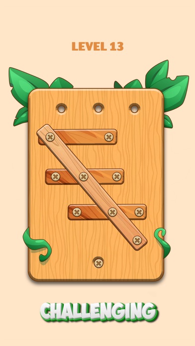 Screw Puzzle : Wood Nuts Bolts Screenshot