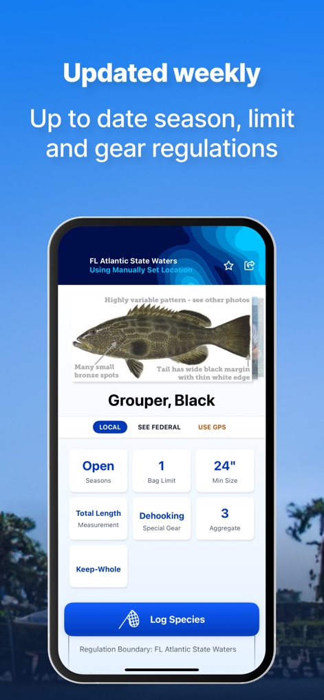 Fish Rules: Local Fishing Laws - 本ツールは、対象魚種の詳細な規制情報、例えば季節やサイズ制限、および視覚的な識別補助として魚のイラストを提示し、ユーザーに正確な情報を提供します。
