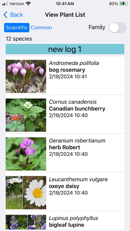 New Brunswick Wildflowers screenshot-8