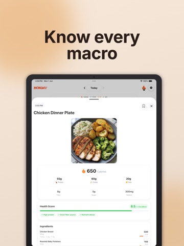 Monday - AI Calorie Tracker iPad screenshot