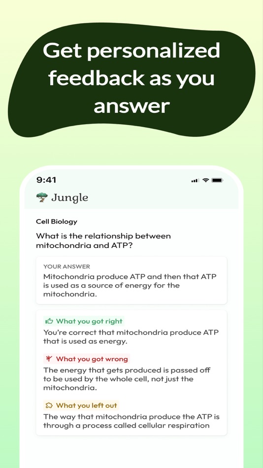 #2. Jungle: AI Flashcards & Quiz (iOS) Podle: Mindflow Inc