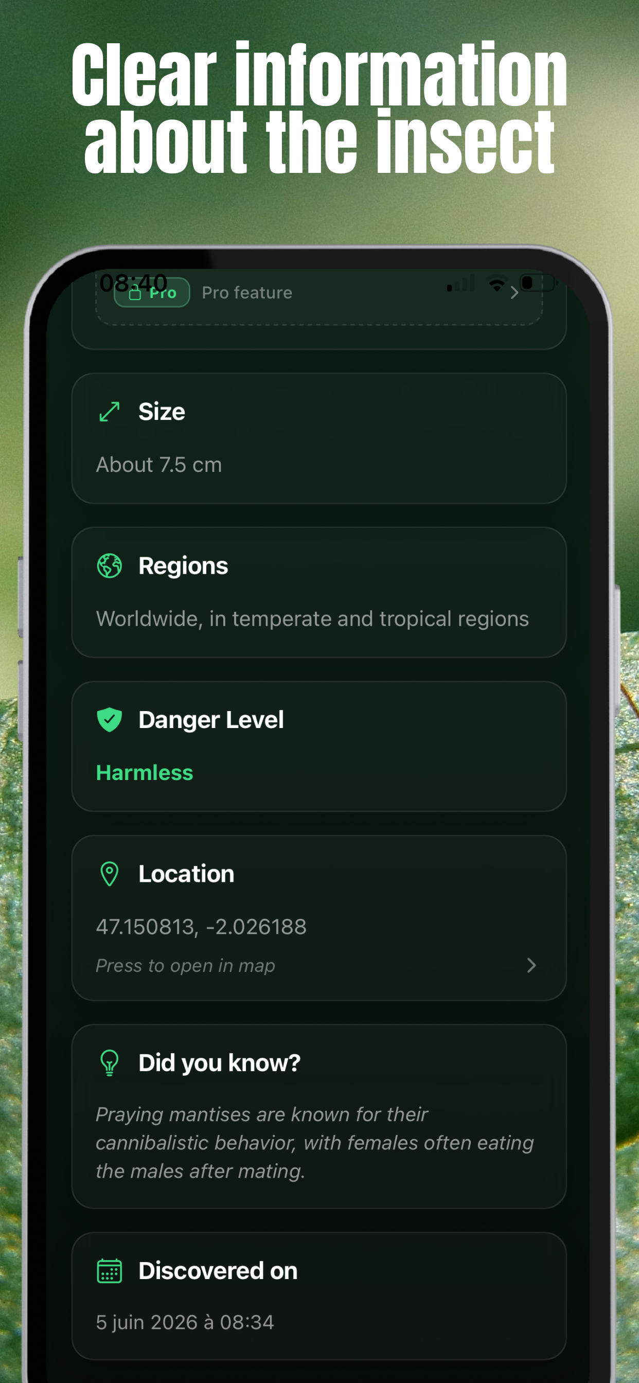 InsectDex - Insect Pokédex screenshot 4