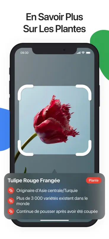 Lens Scan: Identify Anything screenshot 4 of 6