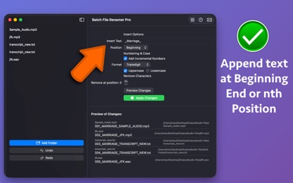 Batch File Renamer Pro screenshot 2