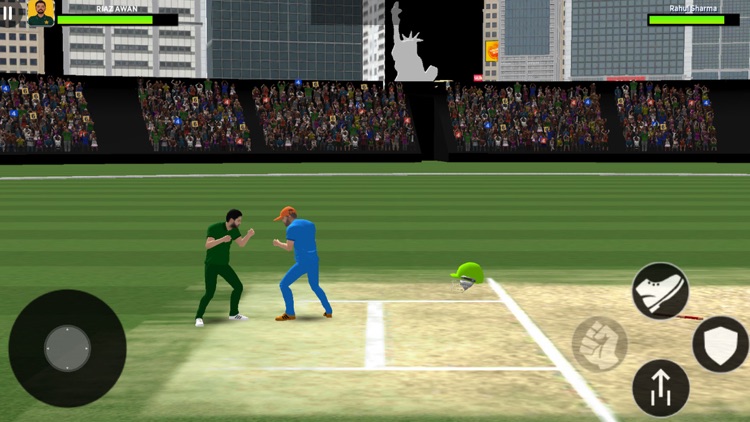 Cricket Pitch Fighting Game