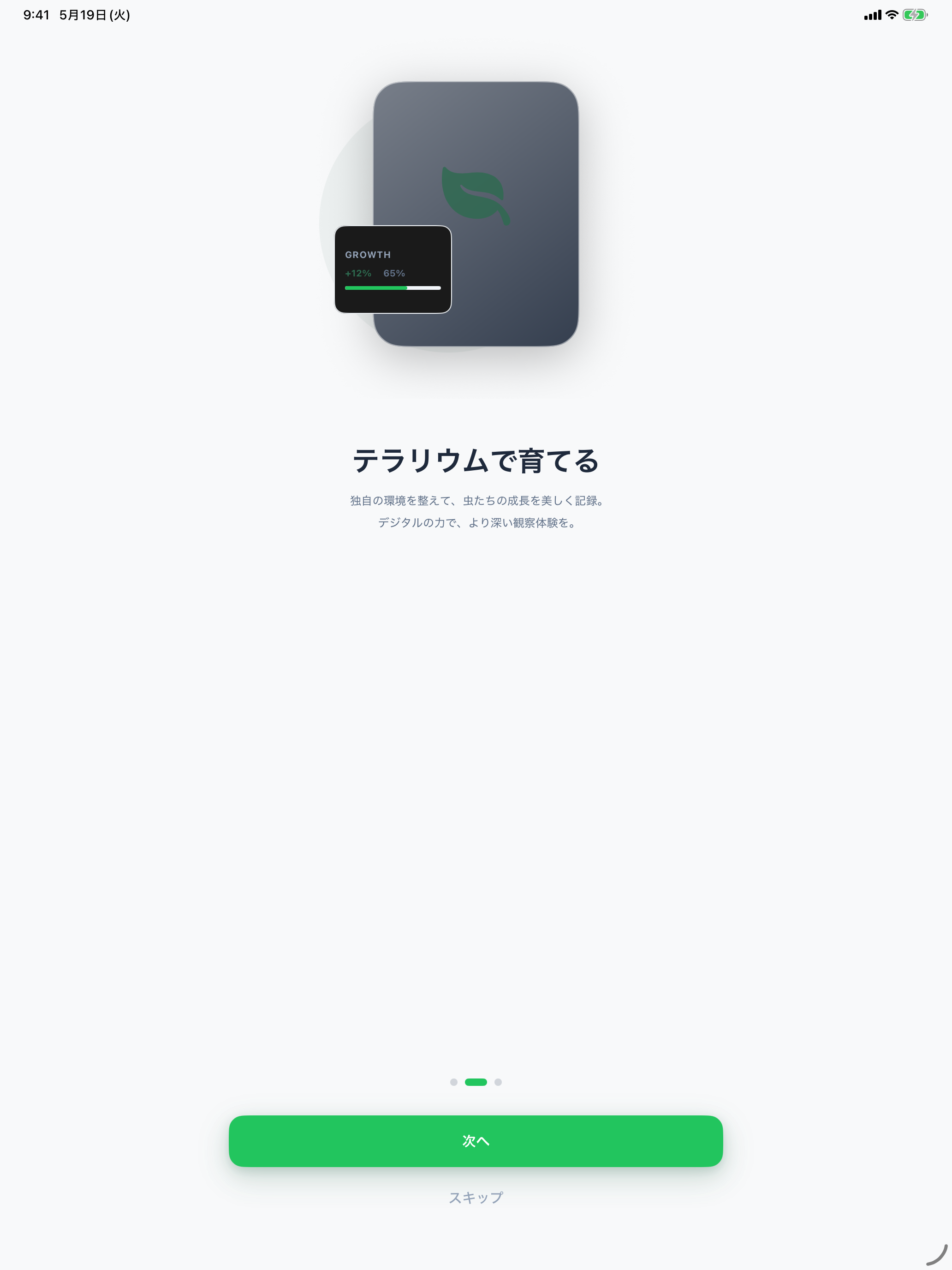mitsuketa - 採集&飼育記録