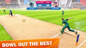 Super Cricket Clash screenshot 3