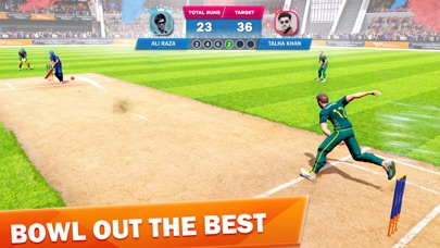 Super Cricket Clash Screenshot