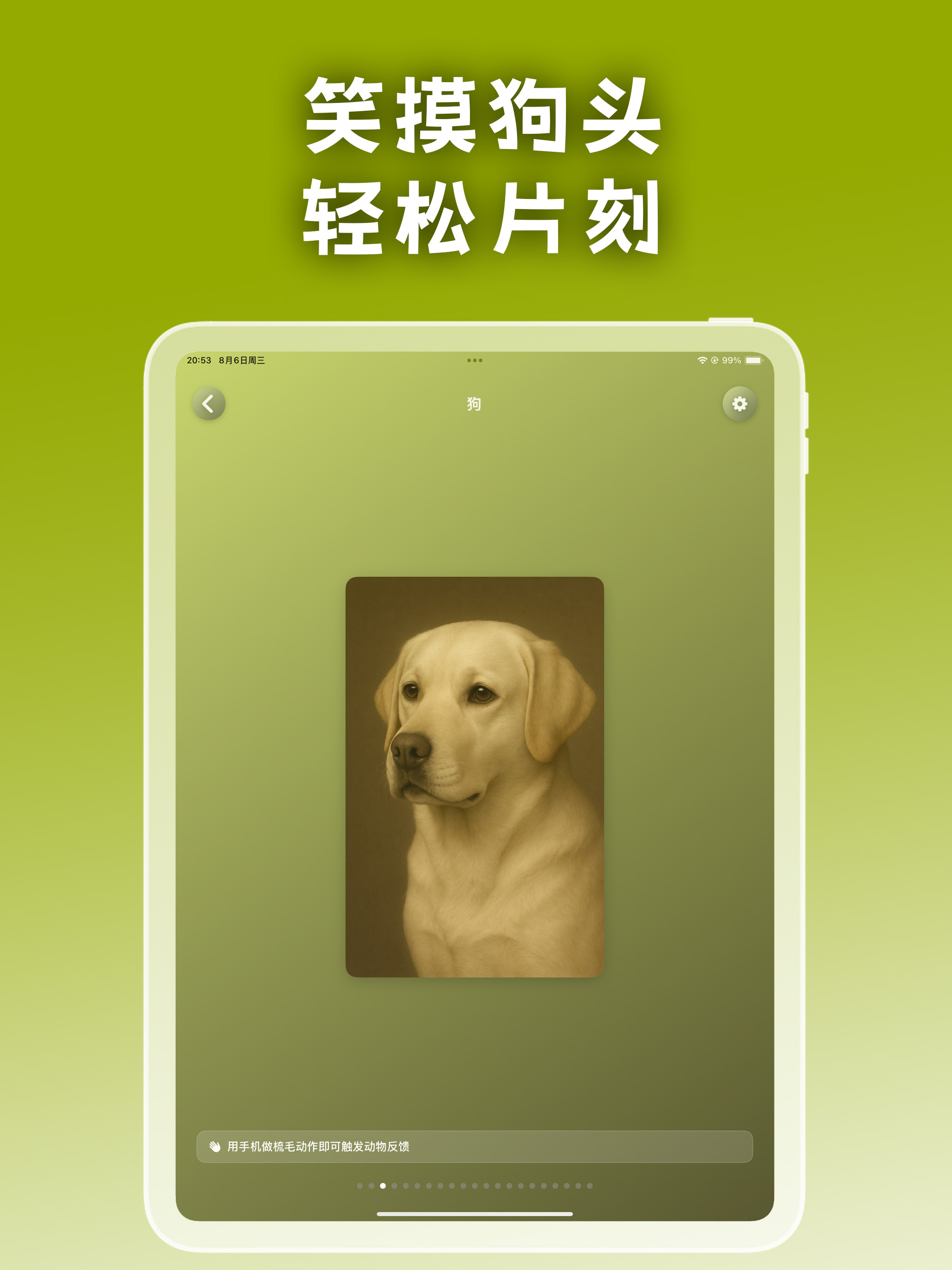 空气猫猫AirPet
