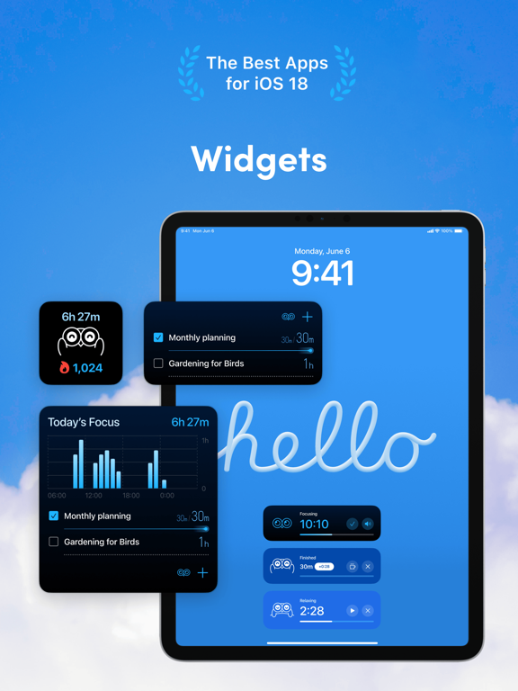 Bluebird Focus Timer iPad screenshot 3 - Productivity app