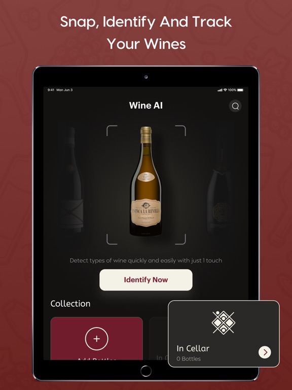 AI Wine Tracker & Scanner iPad screenshot 2 - Food & Drink app
