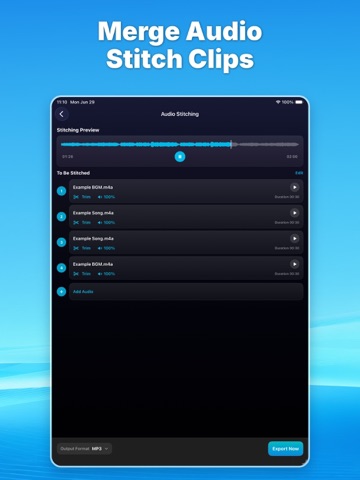 Audio Editor Pro: Music Cutter iPad screenshot