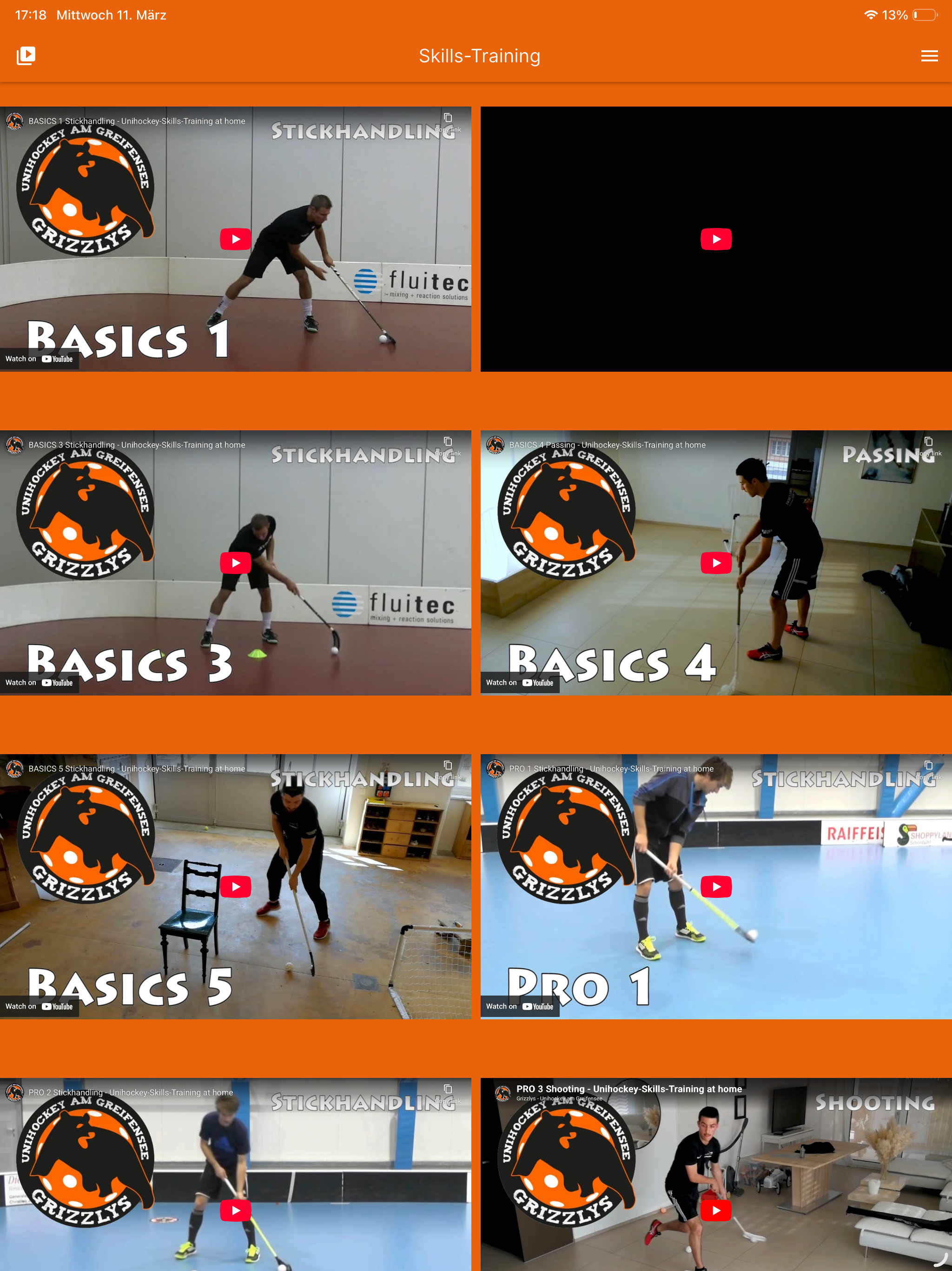 Grizzlys screenshot 14